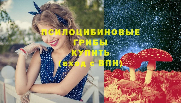 винт Костерёво