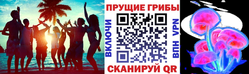 Галлюциногенные грибы мухоморы  Купить  Светогорск 